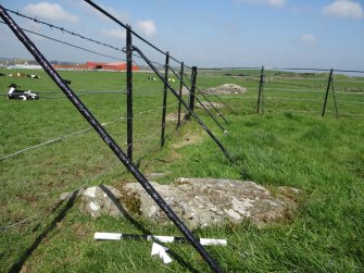 Digital photograph of rock art panel context, Scotland's Rock Art Project, Drumtroddan 4, Dumfries and Galloway