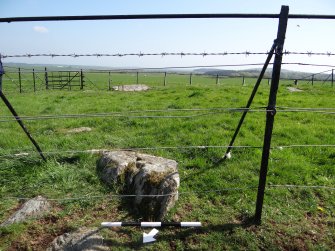 Digital photograph of panel to south-east, from Scotland’s Rock Art Project, Drumtroddan 4, Dumfries and Galloway