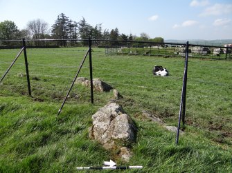 Digital photograph of panel in context with scale, from Scotland’s Rock Art Project, Drumtroddan 4, Dumfries and Galloway