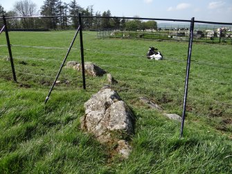 Digital photograph of panel in context without scale, from Scotland’s Rock Art Project, Drumtroddan 4, Dumfries and Galloway