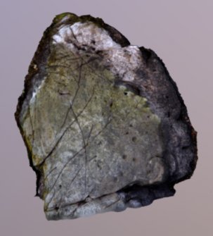Snapshot of 3D model, from Scotland's Rock Art Project, Whitehill 1, East Dunbartonshire