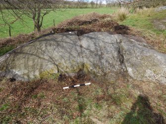 Digital photograph of panel to north, from Scotland's Rock Art Project, Whitehill 1, East Dunbartonshire