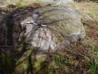 Digital photograph of panel to east, from Scotland's Rock Art Project, Whitehill 1, East Dunbartonshire