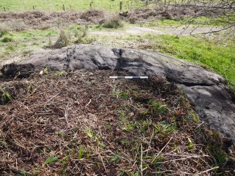 Digital photograph of panel to south, from Scotland's Rock Art Project, Whitehill 1, East Dunbartonshire
