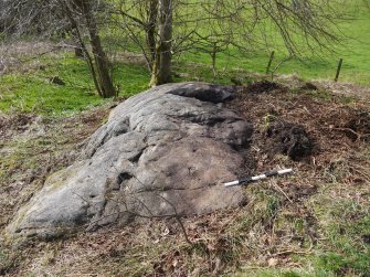 Digital photograph of panel to west, from Scotland's Rock Art Project, Whitehill 1, East Dunbartonshire