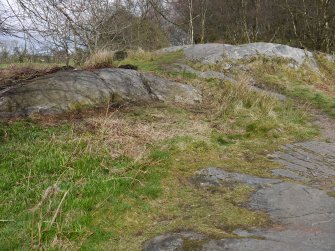 Digital photograph of panel in context without scale, from Scotland's Rock Art Project, Whitehill 1, East Dunbartonshire