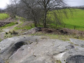 Digital photograph of panel in context without scale, from Scotland's Rock Art Project, Whitehill 1, East Dunbartonshire