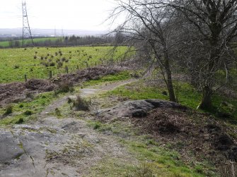 Digital photograph of panel in context without scale, from Scotland's Rock Art Project, Whitehill 1, East Dunbartonshire