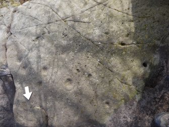 Digital photograph of perpendicular to carved surface(s), from Scotland's Rock Art Project, Whitehill 1, East Dunbartonshire
