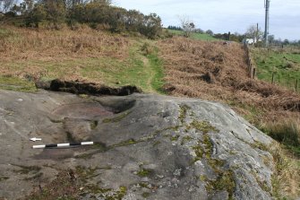 Digital photograph of panel to east, from Scotland's Rock Art Project, Whitehill 2, East Dunbartonshire