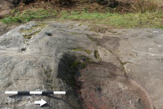 Digital photograph of panel, from Scotland's Rock Art Project, Whitehill 2, East Dunbartonshire