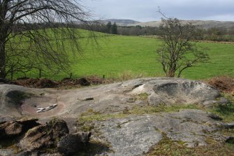 Digital photograph of panel to south-west, from Scotland's Rock Art Project, Whitehill 2, East Dunbartonshire
