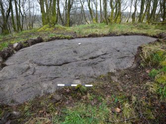 Digital photograph of panel to north, from Scotland's Rock Art Project, Whitehill 3, East Dunbartonshire
