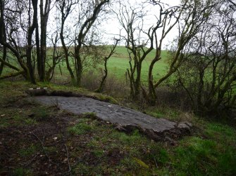 Digital photograph of panel in context with scale, from Scotland's Rock Art Project, Whitehill 3, East Dunbartonshire