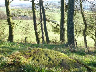 Digital photograph of panel in context without scale, Scotland's Rock Art Project, Tormain Hill 1, Edinburgh