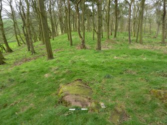 Digital photograph of panel to south, Scotland's Rock Art Project, Tormain Hill 1, Edinburgh