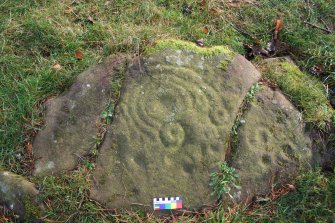 Digital photograph of perpendicular to carved surface(s), Scotland's Rock Art Project, Tormain Hill 1, Edinburgh