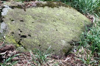 Digital photograph of close ups of motifs, Scotland's Rock Art Project, Tormain Hill 2, Edinburgh