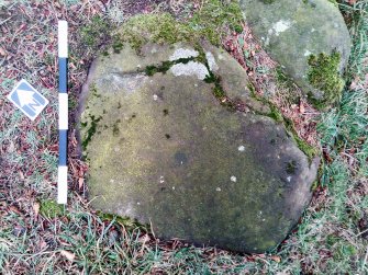 Digital photograph of panel to south-east, Scotland's Rock Art Project, Tormain Hill 2, Edinburgh