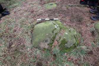 Digital photograph of rock art panel context, Scotland's Rock Art Project, Tormain Hill 2, Edinburgh