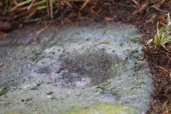 Digital photograph of close ups of motifs, Scotland's Rock Art Project, Tormain Hill 3, Edinburgh