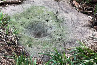 Digital photograph of panel before cleaning, Scotland's Rock Art Project, Tormain Hill 3, Edinburgh