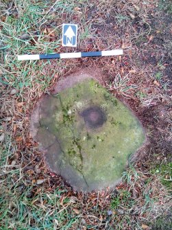 Digital photograph of panel in context with scale, Scotland's Rock Art Project, Tormain Hill 3, Edinburgh