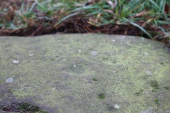 Digital photograph of close ups of motifs, Scotland's Rock Art Project, Tormain Hill 6, Edinburgh