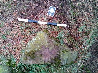 Digital photograph of perpendicular to carved surface(s), Scotland's Rock Art Project, Tormain Hill 6, Edinburgh