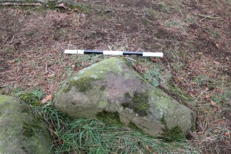 Digital photograph of rock art panel context, Scotland's Rock Art Project, Tormain Hill 6, Edinburgh