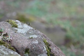 Digital photograph of close ups of motifs, Scotland's Rock Art Project, Tormain Hill 7, Edinburgh