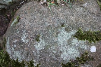 Digital photograph of close ups of motifs, Scotland's Rock Art Project, Tormain Hill 7, Edinburgh