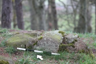 Digital photograph of panel to east, Scotland's Rock Art Project, Tormain Hill 7, Edinburgh