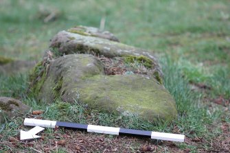 Digital photograph of panel to south, Scotland's Rock Art Project, Tormain Hill 7, Edinburgh