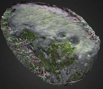 Snapshot of 3D model, Scotland's Rock Art Project, Tormain Hill 8, Edinburgh