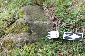 Digital photograph of rock art panel context, Scotland's Rock Art Project, Tormain Hill 8, Edinburgh