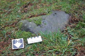 Digital photograph of panel to south, Scotland's Rock Art Project, Tormain Hill 8, Edinburgh