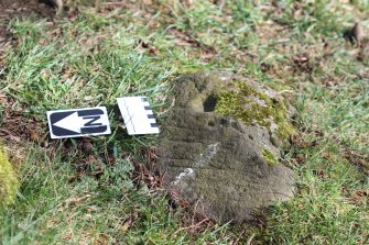 Digital photograph of panel to west, Scotland's Rock Art Project, Tormain Hill 8, Edinburgh