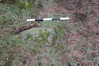 Digital photograph of rock art panel context, Scotland's Rock Art Project, Tormain Hill 8, Edinburgh