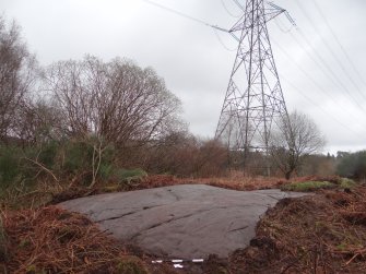 Digital photograph of rock art panel context, Scotland's Rock Art Project, Auchnacraig 4, West Dunbartonshire