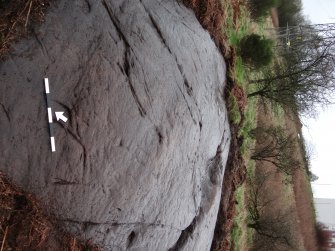 Digital photograph of rock art panel context, Scotland's Rock Art Project, Auchnacraig 4, West Dunbartonshire