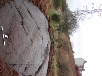 Digital photograph of rock art panel context, Scotland's Rock Art Project, Auchnacraig 4, West Dunbartonshire