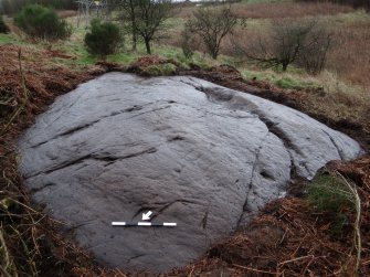 Digital photograph of rock art panel context, Scotland's Rock Art Project, Auchnacraig 4, West Dunbartonshire