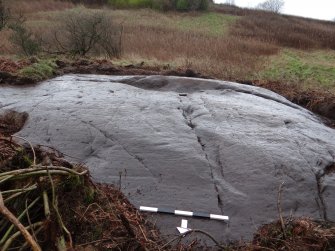 Digital photograph of rock art panel context, Scotland's Rock Art Project, Auchnacraig 4, West Dunbartonshire