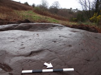 Digital photograph of rock art panel context, Scotland's Rock Art Project, Auchnacraig 4, West Dunbartonshire