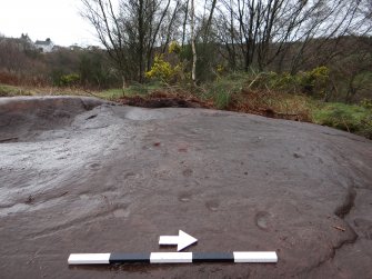 Digital photograph of rock art panel context, Scotland's Rock Art Project, Auchnacraig 4, West Dunbartonshire