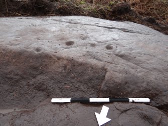 Digital photograph of rock art panel context, Scotland's Rock Art Project, Auchnacraig 4, West Dunbartonshire