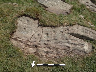 Digital photograph of rock art panel context, Scotland's Rock Art Project, Drumtroddan 11, Dumfries and Galloway