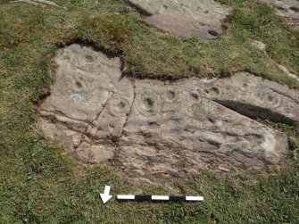 Digital photograph of rock art panel context, Scotland's Rock Art Project, Drumtroddan 11, Dumfries and Galloway