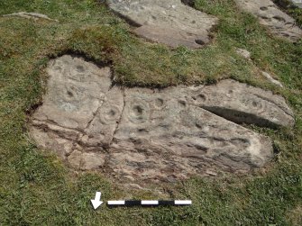 Digital photograph of perpendicular to carved surface(s), from Scotland’s Rock Art Project, Drumtroddan 11, Dumfries and Galloway